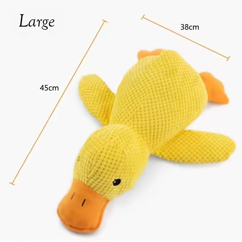 The calming duck