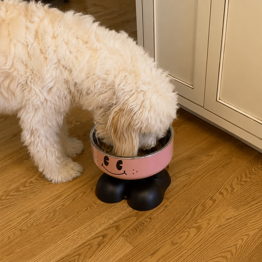 Furvania™ Elevated Bowl