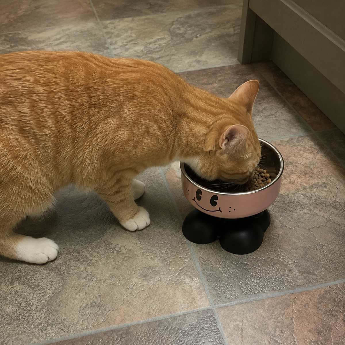 Furvania™ Elevated Bowl