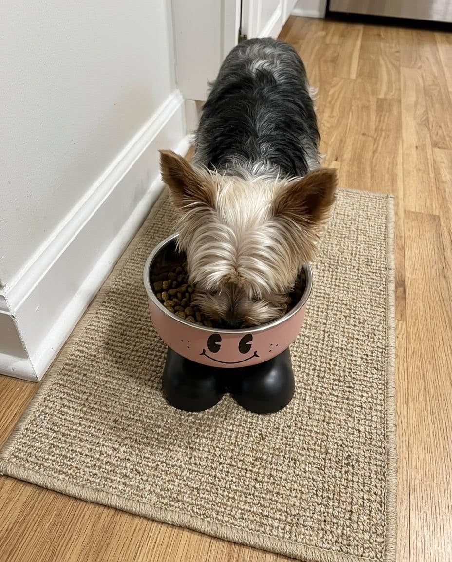 Furvania™ Elevated Bowl