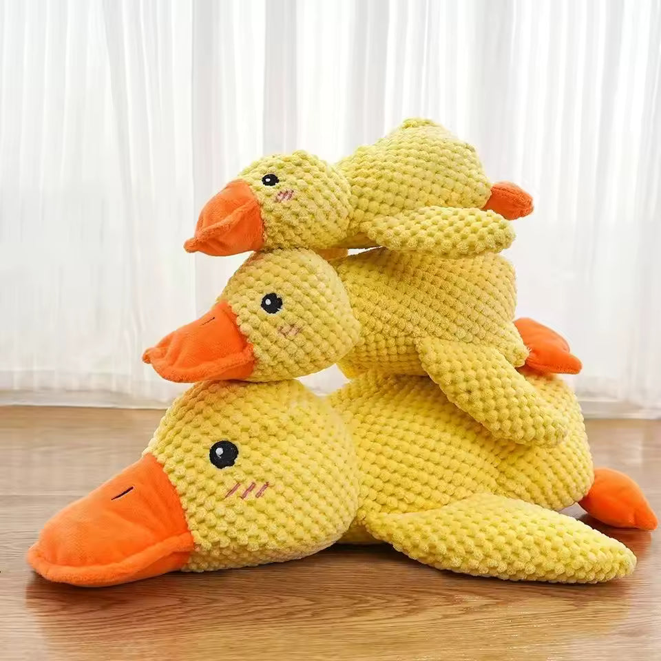 The calming duck