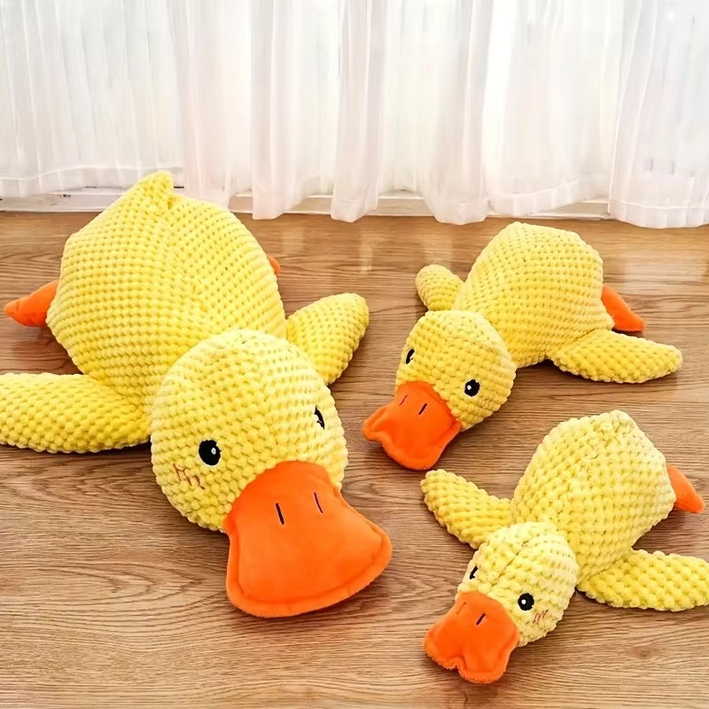 The calming duck