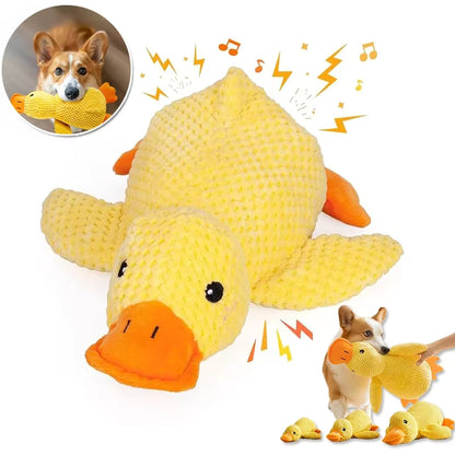 The calming duck