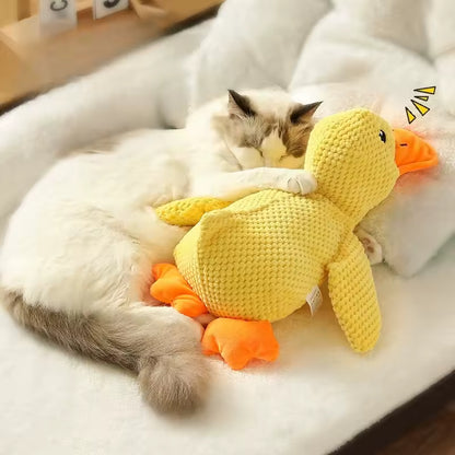 The calming duck