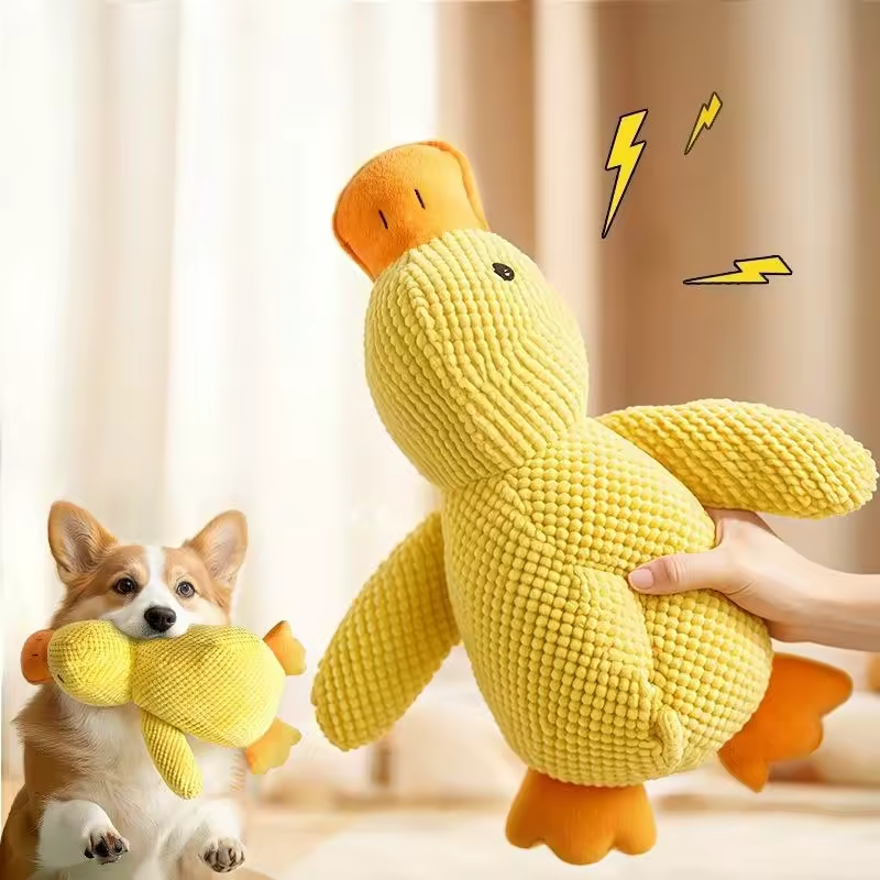 The calming duck