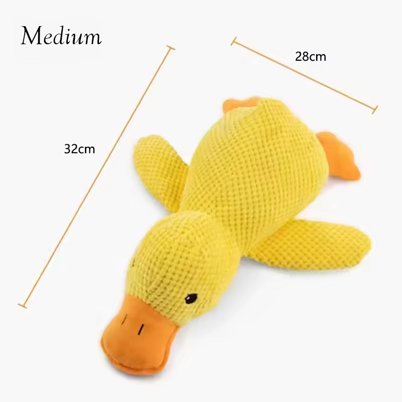 The calming duck