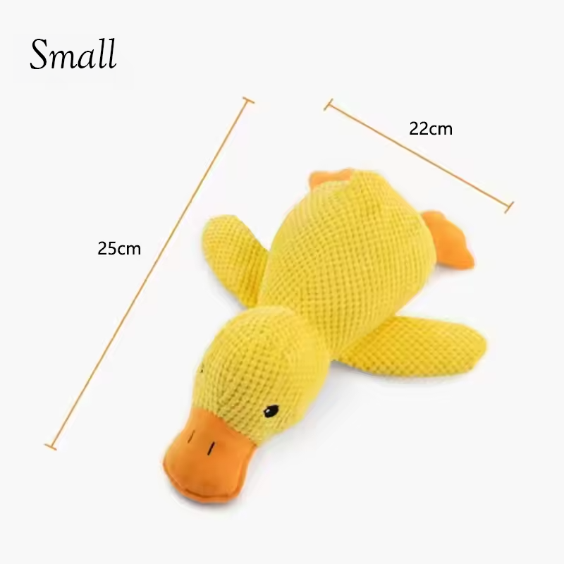 The calming duck
